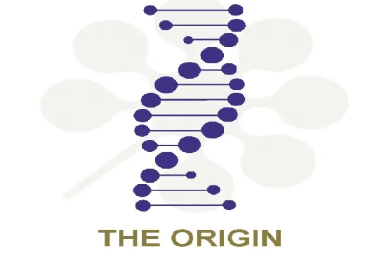 The Origin The-Origin